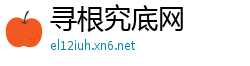 寻根究底网